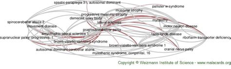 Progressive Bulbar Palsy disease: Malacards - Research Articles, Drugs ...