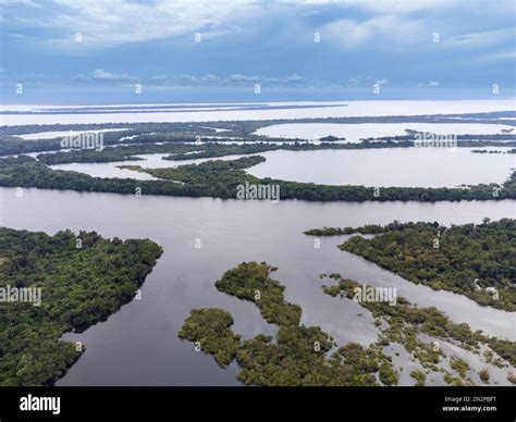 Anavilhanas islands, world's largest river archipelago. Rio Negro. Aerial view. Anavilhanas ...