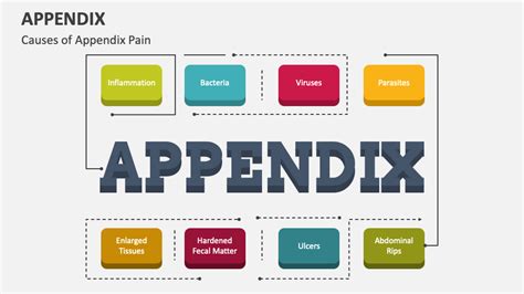 Appendix PowerPoint and Google Slides Template - PPT Slides