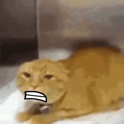 Bfdi Mouth Screaming Cat GIF - Bfdi mouth Screaming cat Cat - Discover & Share GIFs