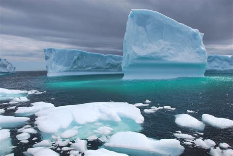 Icebergs Are Swarming Shipping Lanes in the Arctic | Climate Central