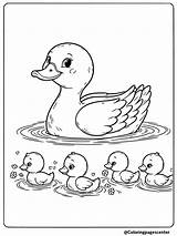 8 Ducks Coloring Pages  Free Printable PDFs sketch template