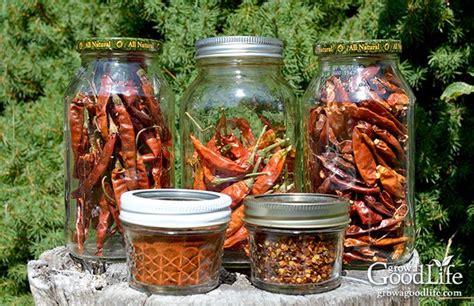 Ways to Preserve Peppers - Both Hot and Sweet | Dried peppers, Stuffed peppers, Stuffed hot peppers