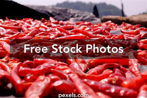 Drying Food Photos, Download The BEST Free Drying Food Stock Photos ...