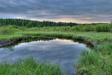 Prince Albert National Park, Saskatchewan - Canada Photo (43528817 ...