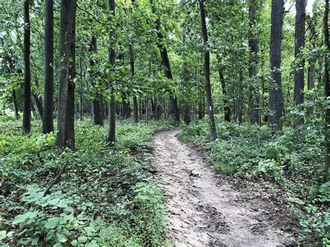 Fox Meadow Trail - Maryland | AllTrails