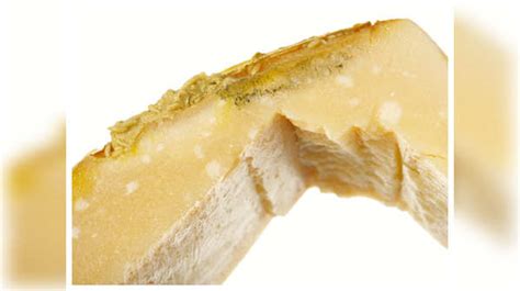 Casu Marzu is considered world's most dangerous cheese and here's why