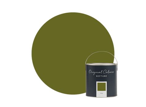 Dark Olive Paint for Home | Neptune