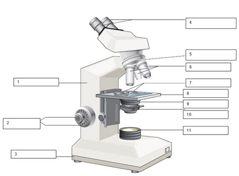 Blank Microscope Diagram