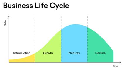 Guide to Understanding and Navigating the Business Life Cycle | by Brett Slater🌟slatercoach.com🌟 ...