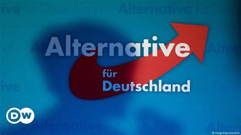 AfD leaders and their most offensive remarks – DW – 09/28/2020