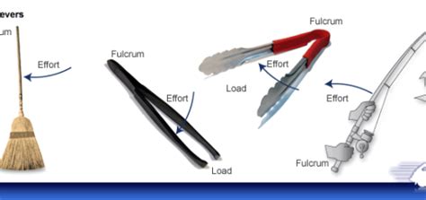 First class levers examples | Science online