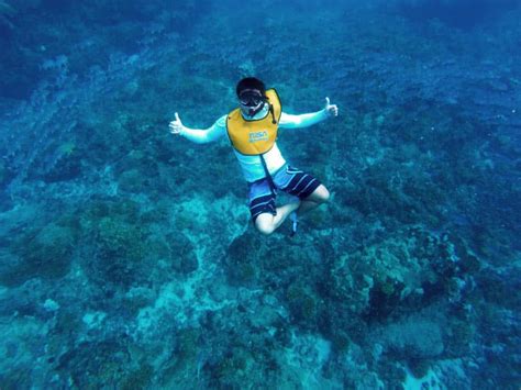 Snorkeling at Cano Island: The 2nd Best Place in Costa Rica