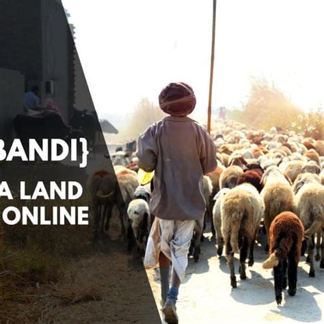 {Jamabandi} जानिये कैसे निकालें ऑनलाइन जमाबंदी (Haryana online jamabandi) नकल?