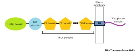 Sandbox Reserved 716 - Proteopedia, life in 3D