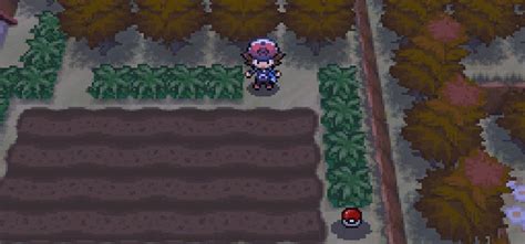 Where To Get TM92 Trick Room in Pokémon Black & White - Guide Strats