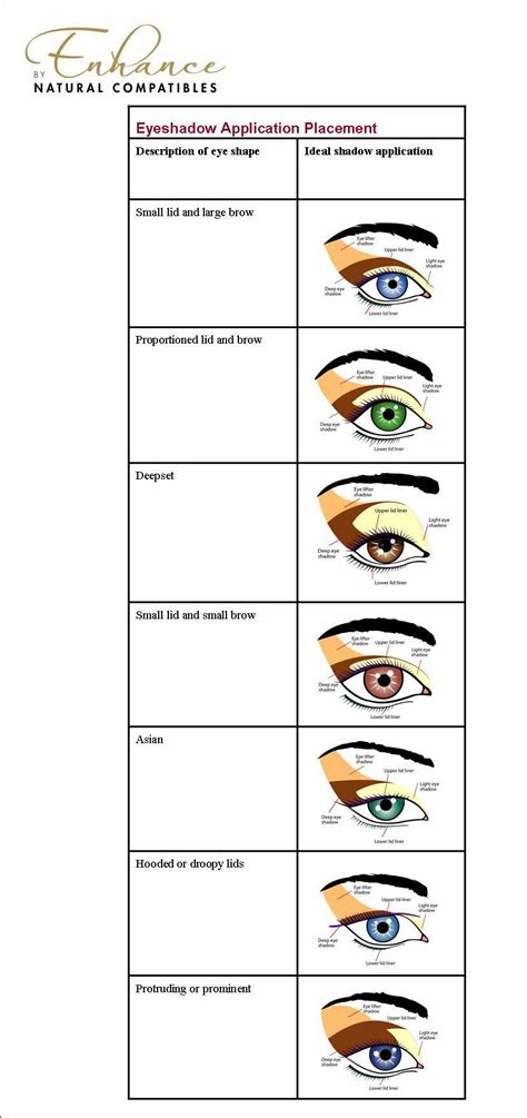 The Eyes Have It! How to Apply Eyeshadow Colours According to Your Eye ...