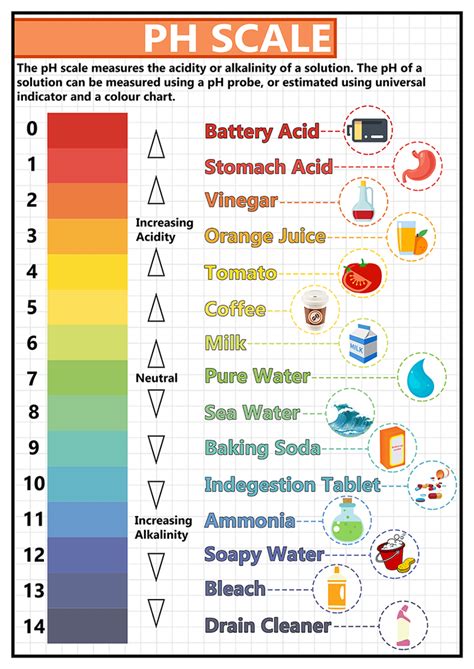 GCSE Science - pH Scale Educational Poster - Size A2 | Gcse science, Chemistry education ...