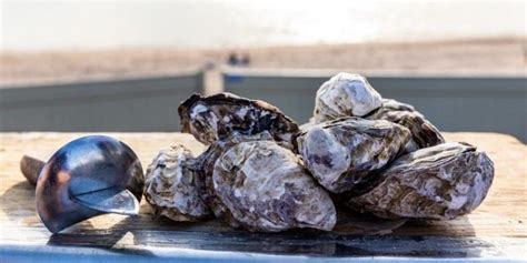 Ceduna Oysterfest - Regional Development Australia Eyre Peninsula