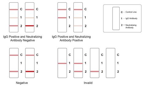 COVID-19 Neutralizing Antibody Test Kit - JOYSBIO Biotechnology