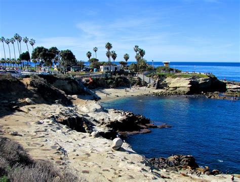 Explore La Jolla Cove on Wheels | La Jolla