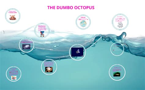 Dumbo octopus by fathema mustafa on Prezi