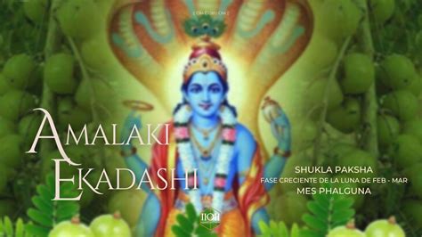 Amalaki Ekadashi - Quanttattvam Path