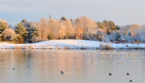 Aberbrothock: Forfar Loch in the snow