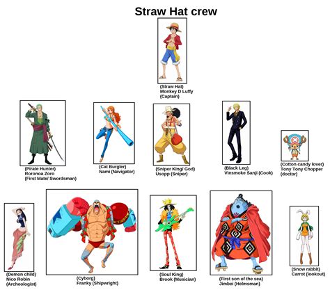 Luffy's Straw Hat crew by jurassicdinodrew on DeviantArt