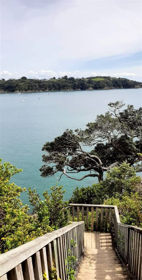 Walk in Waiheke Island in 2022 | New zealand travel, New zealand cities, New zealand adventure