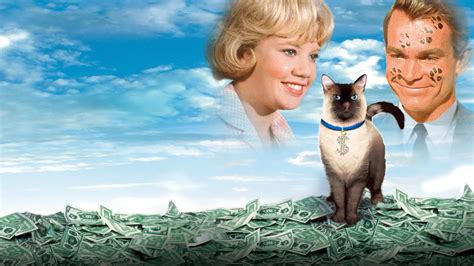 That Darn Cat! (1965) – Filmer – Film . nu