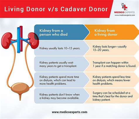 Pin on Kidney care