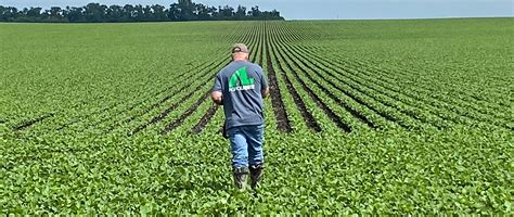 Benefits of Soybean Foliar Fertilizer - Minnesota Soybean