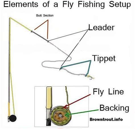 Fly Fishing Basics (Line, leader, backing and tippet rigging) | Fly fishing basics, Fishing ...