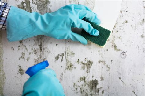 Do Painters Clean Wall Before Painting? - Painting Services Singapore