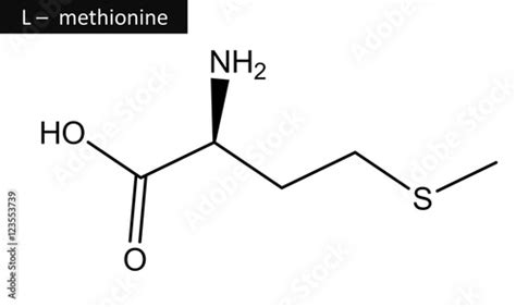 "Molecular structure of methionine" Stock photo and royalty-free images on Fotolia.com - Pic ...