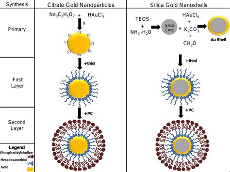 Synthesis of nanoparticles was completed using methods described... | Download Scientific Diagram