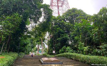 Bukit Batok Nature Park: Quarry, Playground & Wildlife - Little Day Out