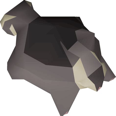 Black chinchompa - OSRS Wiki