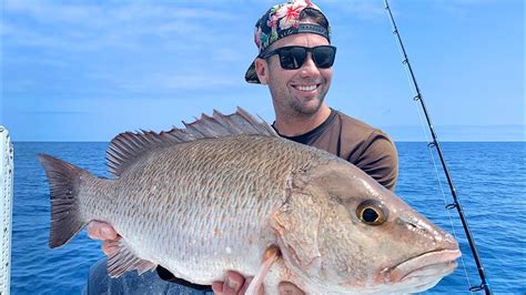 GIANT Mangrove Snapper - Catch And Cook - (Best Recipe) fishing in the ...