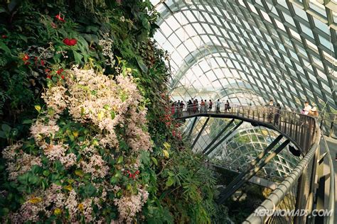 Gardens By The Bay - Singapore - Nerd Nomads