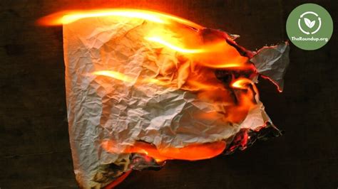 Is Burning Paper Bad for the Environment? - TheRoundup