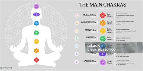 Chakra Energy Centers Infographic Illustration Seven Main Chakras Chart ...