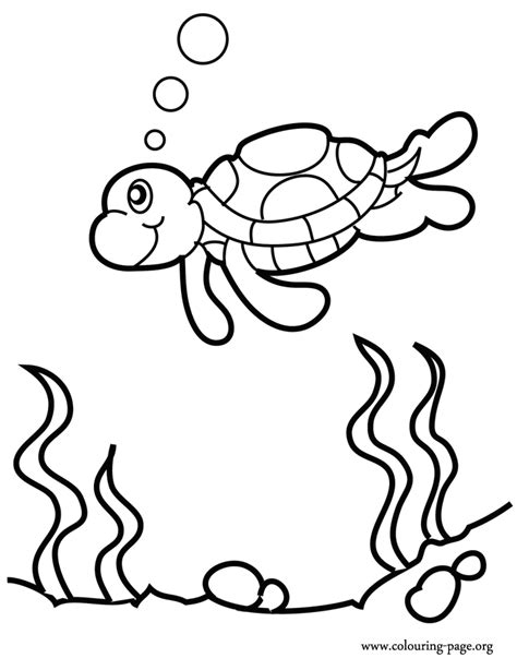 Turtles - Sea turtle swimming over a reef coloring page