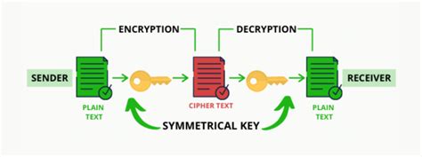 Blockchain Cryptography: Everything You Need to Know - 101 Blockchains