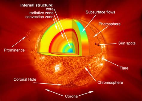 [Solved] Astrophysicist __________, who first theorized the existence