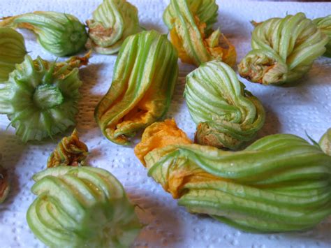 Seasonal Seattle: Fried Zucchini Blossoms Stuffed with Cheese