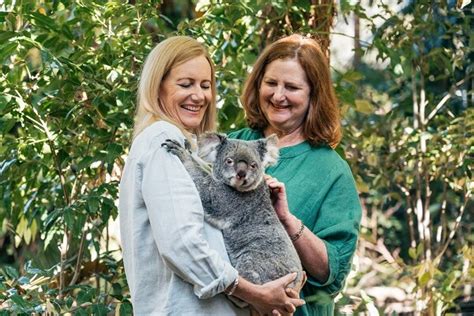 Can you hold koalas at Currumbin Wildlife Sanctuary?