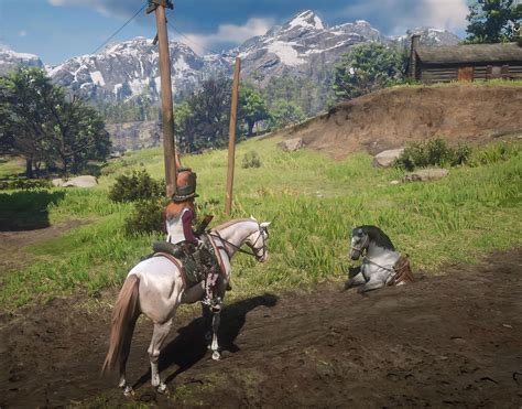 Now thats a horse glitch. Poor thing...🐎 : r/RDR2