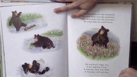 The Bear Went Over the Mountain Read Aloud - YouTube